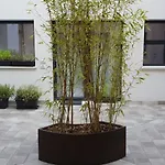 Design * Bergame